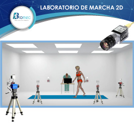 laboratorio de marcha 2D